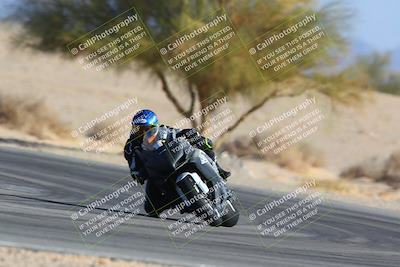 media/Jan-14-2024-SoCal Trackdays (Sun) [[2e55ec21a6]]/Turn 4 Tree of Life (155pm)/